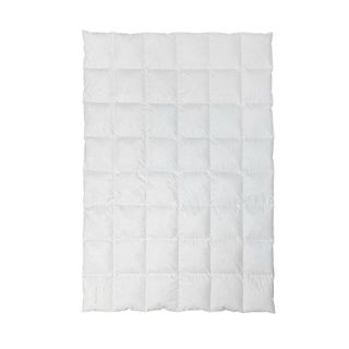 Daunendecke GANZJAHRESBETT (6x8 Karo-Steppung)